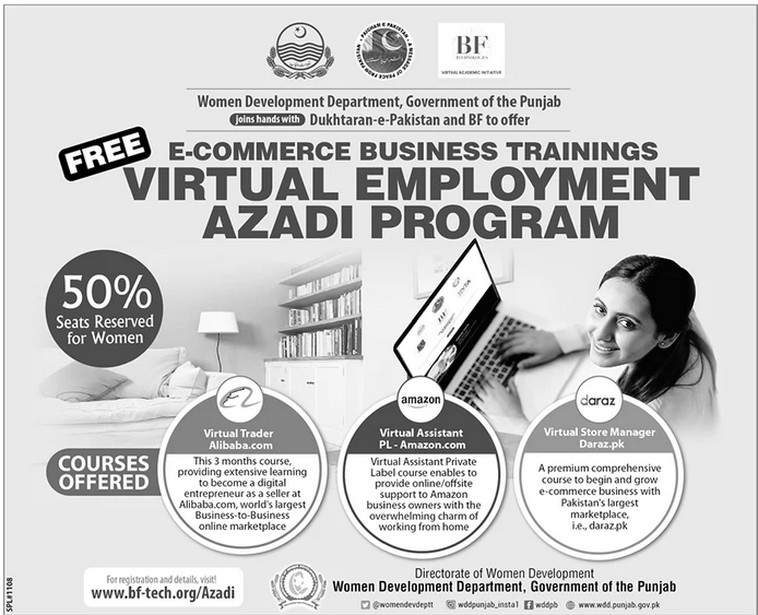 Virtual Employment Azadi Program Jobs Portal hseprof